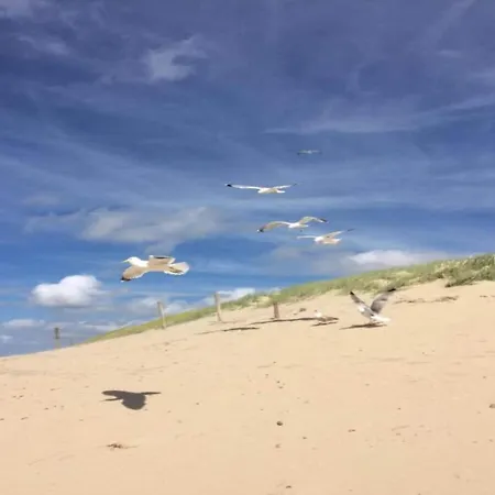 Daire Bright Coastal Hideaway Julianadorp