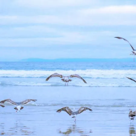 Daire Bright Coastal Hideaway