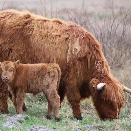 Bright Coastal Hideaway Daire