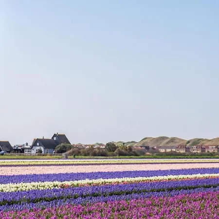 Daire Bright Coastal Hideaway