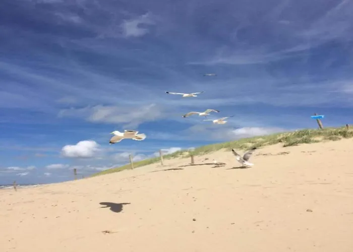 Apartment Bright Coastal Hideaway Julianadorp