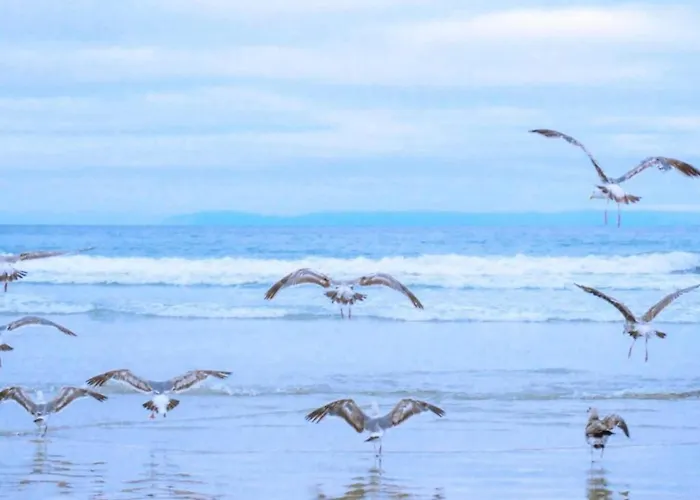 Apartment Bright Coastal Hideaway
