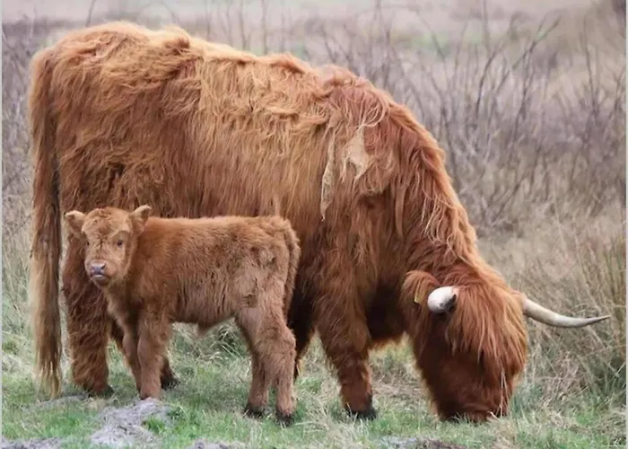 Bright Coastal Hideaway Apartment